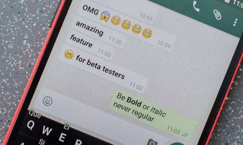 WhatsApp怎么看对方读没读信息